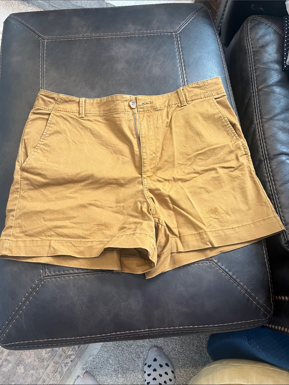 LOFT Women's Flat Front Shorts in Mustard